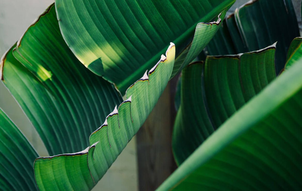 How To Find Good Spots For Nature Inspired Photo-Shoots